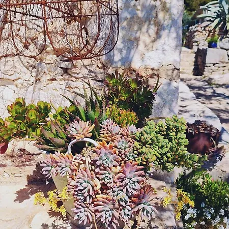 Apartament Garden, Korcula