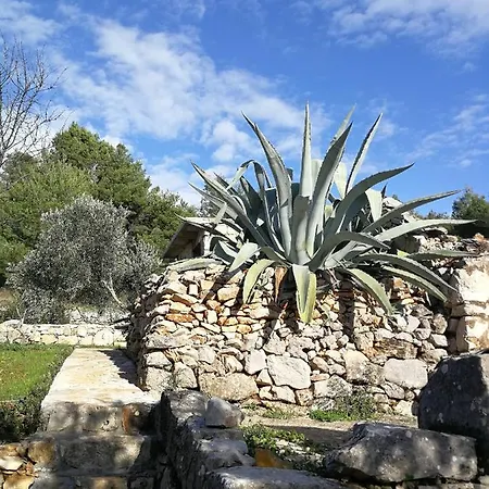 Garden, Korcula Apartment